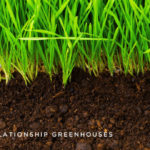 Building Relationship Greenhouses