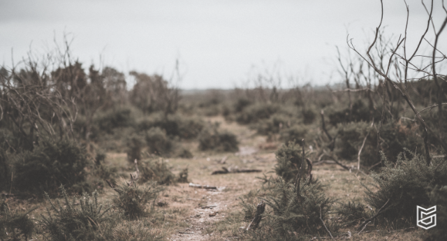 In today’s conversation with John Bevere, you’re going to learn what the wilderness is (and how to recognize it in your life), how to posture yourself in difficult seasons, why complaining will short-circuit your potential and elongate your stay in the wilderness, and why discouragement often arrives right before your critical moment of personal victory.