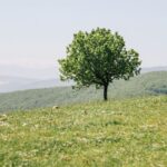 438: Facing Midlife: Ian Simkins on Success, Loneliness in Your 40s, Spiritual Abuse, and Why Efficiency Is a Terrible God