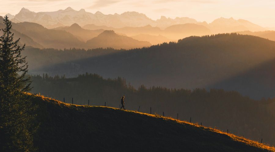 444: Stop Trying to “Find Yourself.” Preston Morrison on the Misconceptions Keeping Us Immature, the Separation Caused by Pride, Navigating Midlife Transitions, and Embracing Wilderness Seasons