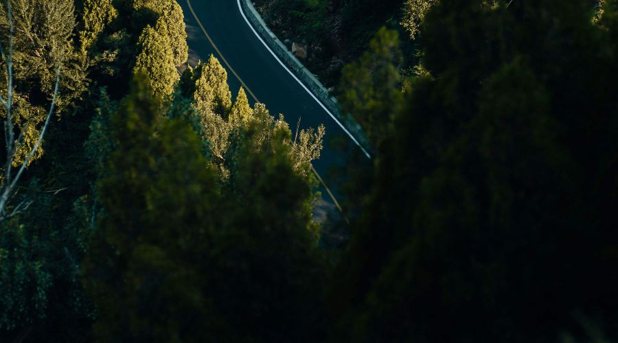 457: Your Body Is Telling the Truth. Jordan Rubin on Ancient Secrets to Heal the Mind, Fight Depression and Inflammation, Master Metabolism, and Live Long from the Inside Out