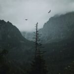 460: Therapy Culture Isn’t Discipleship. Matt Chandler Unpacks Identity Confusion, The Cost of Complaining, and Killing the Christianese Jargon