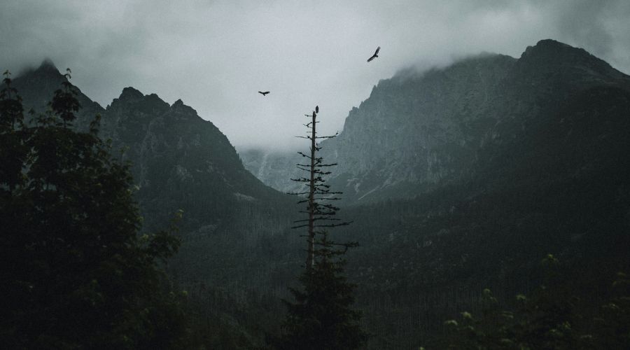 460: Therapy Culture Isn’t Discipleship. Matt Chandler Unpacks Identity Confusion, The Cost of Complaining, and Killing the Christianese Jargon