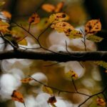 462: Stop Lying to Yourself! Kevin Boehm on Why Life Happens For Us, Not To Us, Destroying the Self-Help Blueprint, When Fear Looks Like Wisdom, and Why Food Is a Peacemaker