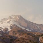 465: STOP Ignoring Your Body. Justin Whitmel Earley on Embodied Discipleship, Resisting Body-Idolatry, and How Sleep Rebuilds Your Soul