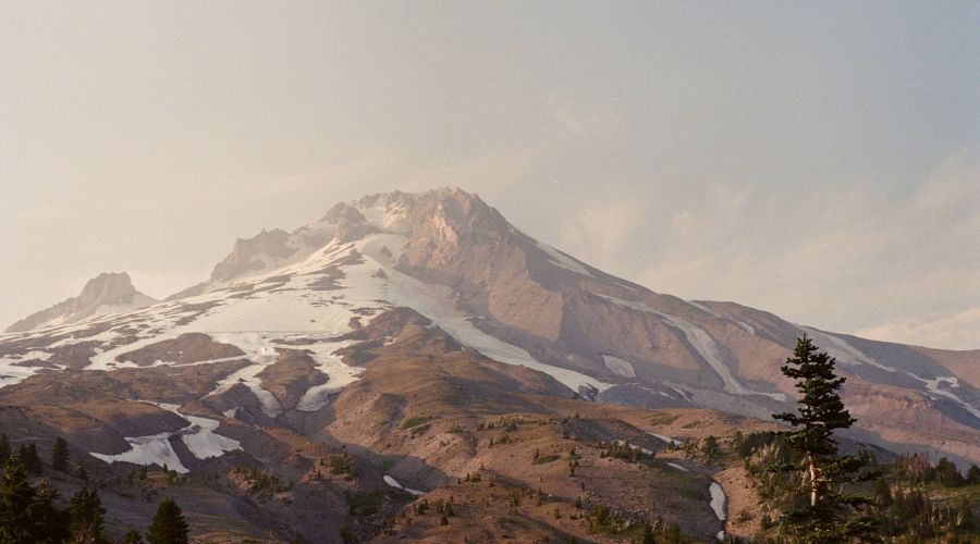 465: STOP Ignoring Your Body. Justin Whitmel Earley on Embodied Discipleship, Resisting Body-Idolatry, and How Sleep Rebuilds Your Soul