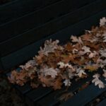 466: When Pain Gets Wasted. Shawn Johnson on Stewarding the Middle Season of Life, How Bitterness Erodes Trust, and Why We Settle for Temporary Rest Instead of True Peace