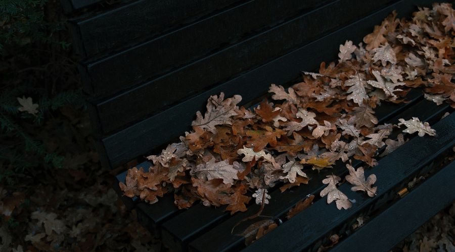 466: When Pain Gets Wasted. Shawn Johnson on Stewarding the Middle Season of Life, How Bitterness Erodes Trust, and Why We Settle for Temporary Rest Instead of True Peace