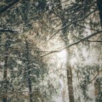 467: No More BORING Bible Study? Faith Womack on How to Wrestle with the Tension of Scripture, The Mistakes Pastors and Teachers Make When Teaching the Bible, Building a Faithful Hermeneutic, and the Cost of Building Our Faith Around Personality-Driven Sermons