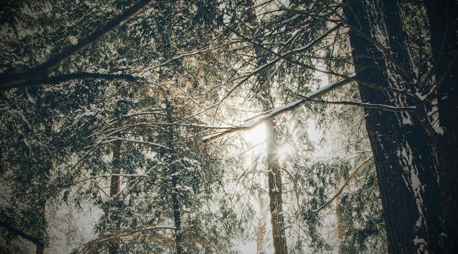 467: GET IN THE WORD! Faith Womack on How to Wrestle with the Tension of Scripture, The Mistakes Pastors and Teachers Make When Teaching the Bible, Building a Faithful Hermeneutic, and the Cost of Building Our Faith Around Personality-Driven Sermons