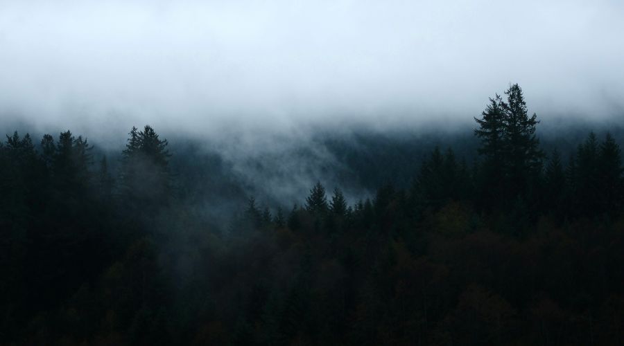 468: This is a CLEAR Method. Zach Windahl on the Unified Story of Scripture, Why “Belong Before You Believe” Fails, and How to Study When You’re Bored or Confused