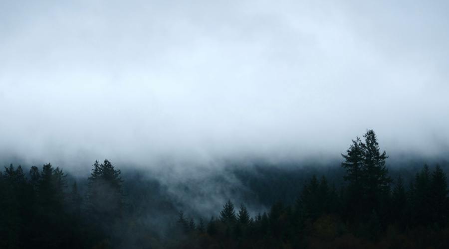 473: [Formed.] Comfort Won’t Mature You. Dr. Joel Tudman on How We Cheat Ourselves in the Wilderness, Why “Finding Yourself” is a Waste of Time, The Beauty of Being Pulled Apart by the Lord, and Fighting to Stay Agile in a Disruptive Life