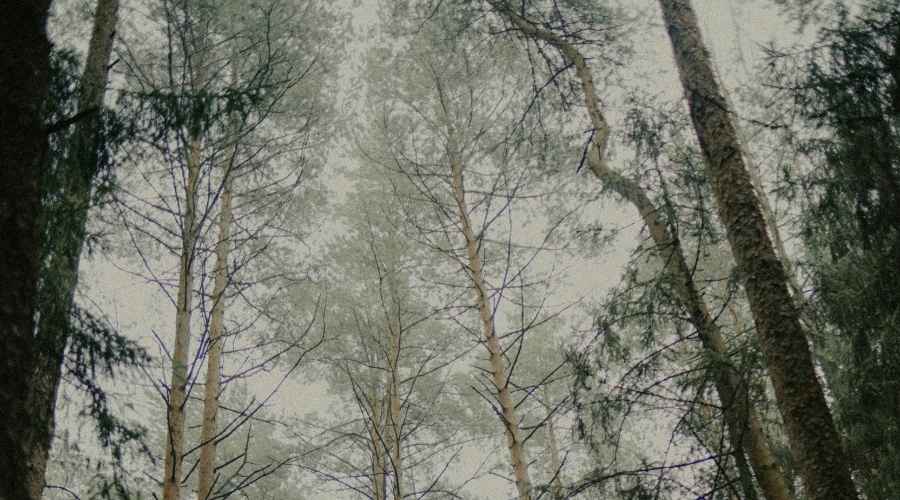 477: [SELF-BRAIN SURGERY] Therapy Culture is BLOCKING Your Ability to Heal. Dr. Lee Warren on The “Problem” with Our Brains, Addressing the Resistance that Shows Up When We Try to Heal, Getting Out of Survival Mode, and Compulsive Rumination