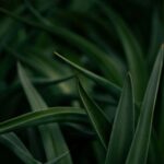 481: The Christian Addiction No One Talks About. Stephen McWhirter on Numbing with Ministry, The Bitterness We Carry in Our Bodies, and Becoming a Resting Place for Chaos