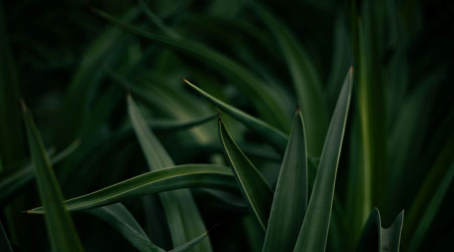 481: The Christian Addiction No One Talks About. Stephen McWhirter on Numbing with Ministry, The Bitterness We Carry in Our Bodies, and Becoming a Resting Place for Chaos