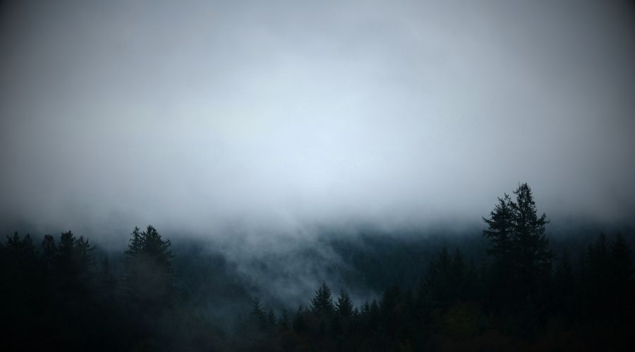 486: You Can’t Bubble Bath Your Way to Wellness. Jennifer Breheny Wallace on Absorbing the Lies of Useless and Worthless, Why Self-Esteem Has a Short Fuse, Mattering vs. Validation, Toxic Success, and Why Hyper-Visibility is Fake Connection